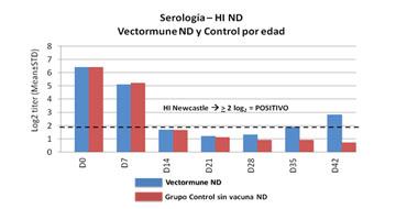 grafico 1